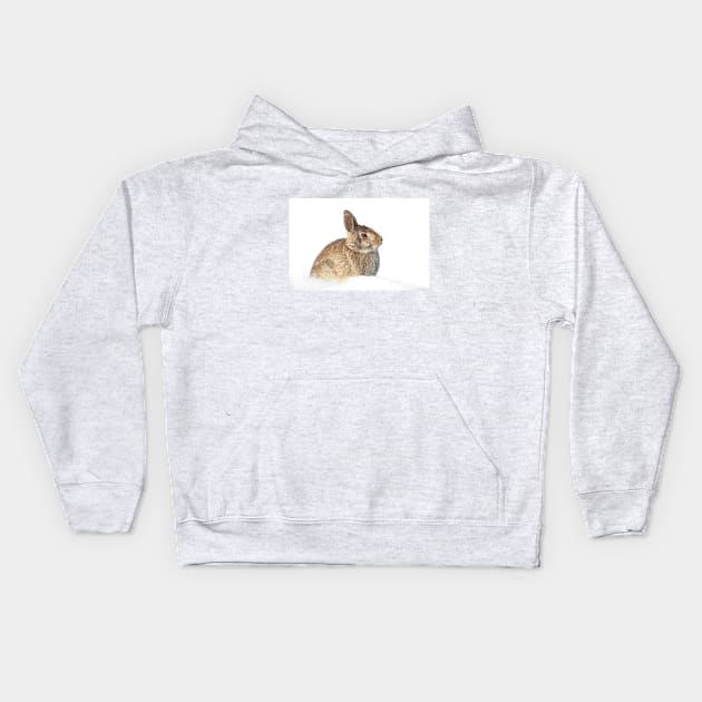 Eastern Cottontail Kids Hoodie by Jim Cumming